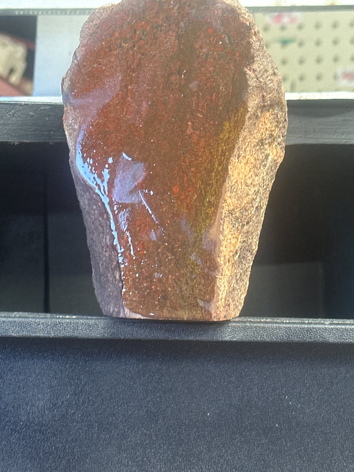 Rare 2.5 lb Dinosaur Bone Specimen – Vivid Reds, Blues, and Pinks – Perfect for Display & Lapidary Creations {lot# B.S-101