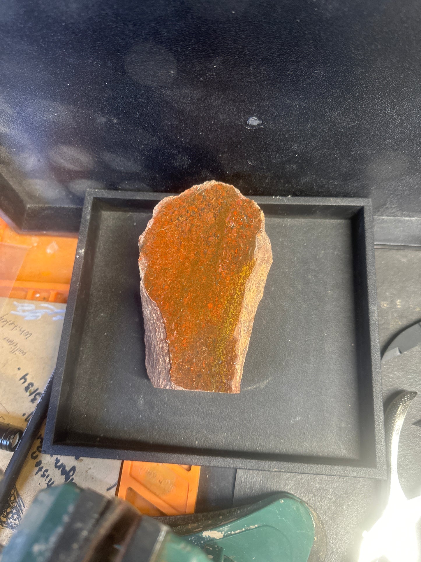 Rare 2.5 lb Dinosaur Bone Specimen – Vivid Reds, Blues, and Pinks – Perfect for Display & Lapidary Creations {lot# B.S-101